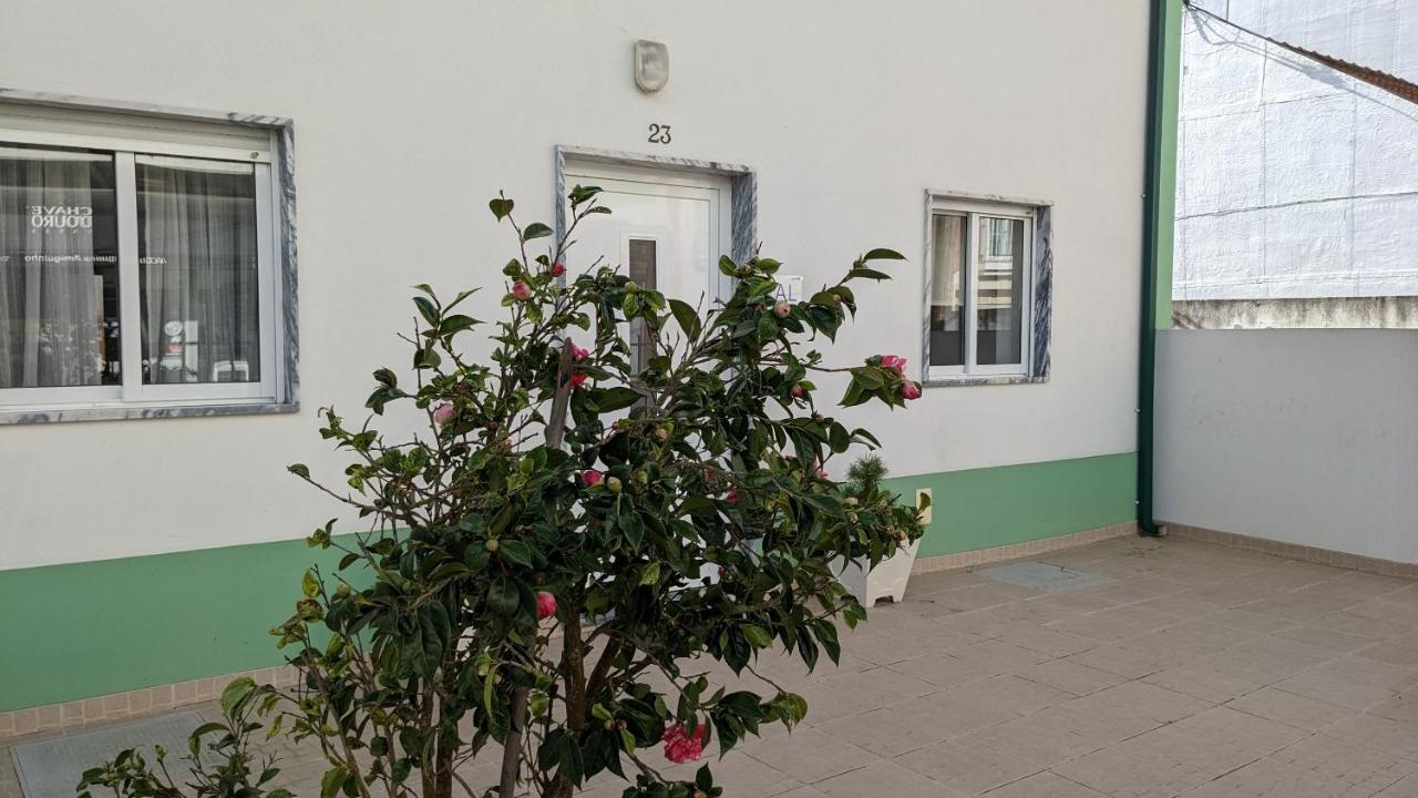 Casa Domingues Guest House 卡尔达斯达·赖尼亚 外观 照片